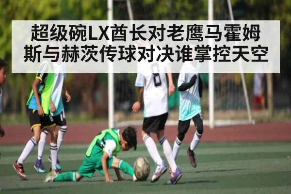 超级碗LX酋长对老鹰马霍姆斯与赫茨传球对决谁掌控天空（YIWAN28）